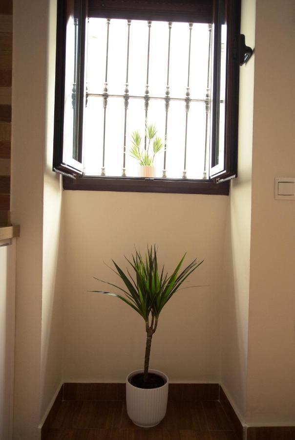 Apartamento Entrecaminos Setenil De Las Bodegas Ngoại thất bức ảnh